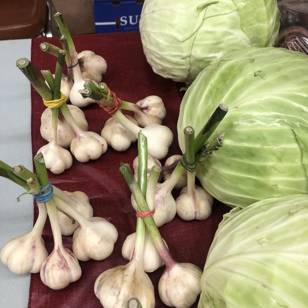 2025 Smoky Lake Pumpkin Fair Travel Lakeland Community Calendar 2025 Smoky Lake Pumpkin Fair Travel Lakeland Community Calendar