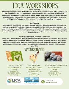 Cold Lake Soil Painting Workshop