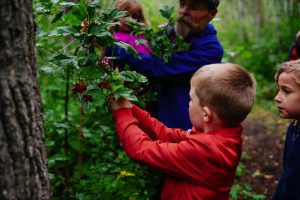 Bounty of the Land: Bison and Berries at Fort George & Buckingham House