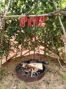 Bounty of the Land: Bison and Berries at Fort George & Buckingham House