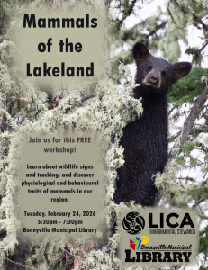 Mammals in the Lakeland Workshop