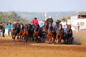 Bonnyville Pro Rodeo