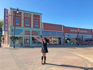 Taste of Vermilion