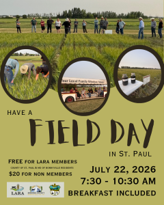 Field Day in St. Paul
