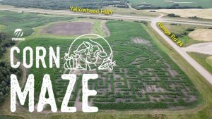Maizex Corn Maze