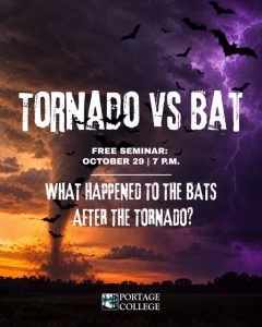 Tornado vs Bats